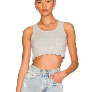 NWT Melody Crop Top in Gray